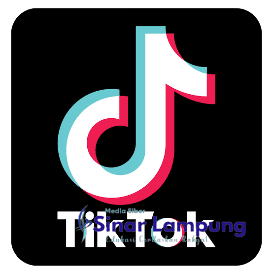 Beberapa Negara Ancam Blokir TikTok?