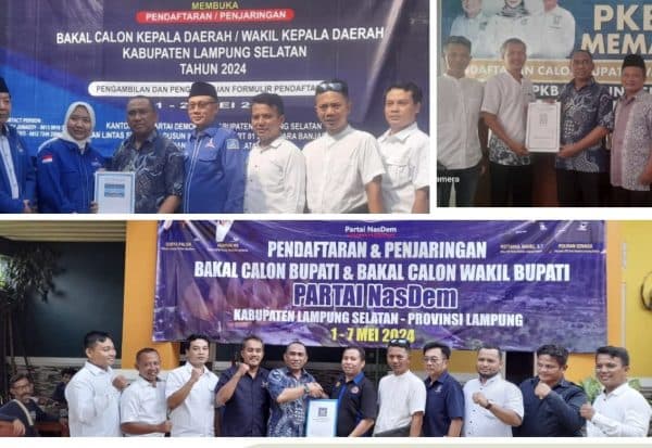 Pandu Kesuma Dewangsa Daftar Balonbup Lamsel di Tiga Partai 