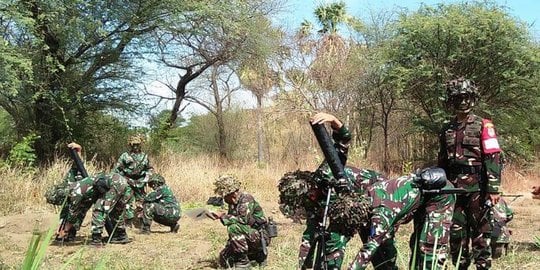 TNI Kembangkan Sederet Sejata Canggih