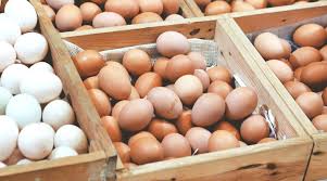 Pinsar Masih Rugi Walaupun Mendag Naikkan HET Ayam dan Telur