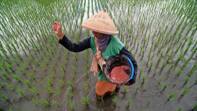 Pusri Minta Kementan Bayar Dana Subsidi Pupuk Senilai Rp3,2 Triliun