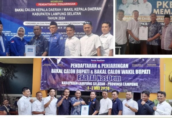 Pandu Kesuma Dewangsa Daftar Balonbup Lamsel di Tiga Partai 